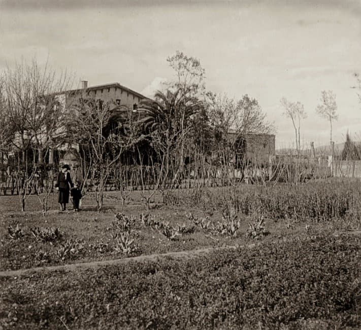 Mas Feliu c.1920